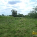 belize-for-sale-25-acres-on-the-river-10