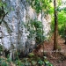 31 Acres near Caves Branch Belize Hummingbird Highway2