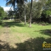 belize-real-estate_5-acres-on-the-macal-river-downtown-san-ignacio-1