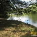 belize-real-estate_5-acres-on-the-macal-river-downtown-san-ignacio-12