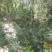 belize-real-estate_5-acres-on-the-macal-river-downtown-san-ignacio-17