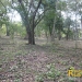 belize-real-estate_5-acres-on-the-macal-river-downtown-san-ignacio-19