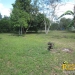 belize-real-estate_5-acres-on-the-macal-river-downtown-san-ignacio-2