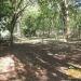 belize-real-estate_5-acres-on-the-macal-river-downtown-san-ignacio-21
