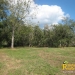 belize-real-estate_5-acres-on-the-macal-river-downtown-san-ignacio-23