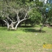 belize-real-estate_5-acres-on-the-macal-river-downtown-san-ignacio-25