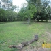 belize-real-estate_5-acres-on-the-macal-river-downtown-san-ignacio-3