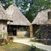 50 Acre Belize Eco Resort Kitchen and restaurant