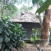50 Acre Belize Eco Resort8