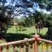 Belize Eco Resort for Sale - Verandah overlooking grounds