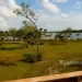 125 Acres Sapodilla Lagoon Belize 31