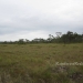 125 Acres Sapodilla Lagoon Belize Savannah Land