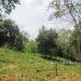 30 Acres Belize Land Macal River12