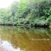 30 Acres Belize Land Macal River18