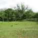 30 Acres Belize Land Macal River3