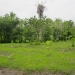 Belize 47 Acre Farm for Sale_OF041408BW 8