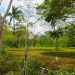 Belize Lots for Sale Kontiki Neighborhood 6