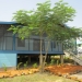Belize New Construction Home San Ignacio H011408SI 49