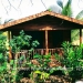 Belize-Resort-Ready-Property-near-San-Ignacio-Town7