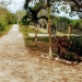 Belize-Resort-Ready-Property-near-San-Ignacio-Town84