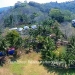 Belize-Resort-Ready-Property-near-San-Ignacio-Town88