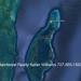Belize-10-acre-property-Turneffe-Atoll3