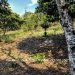 57-Acres-for-sale-in-Mayan-Village12