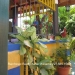 Garden-Bar-and-Apartment-San-Ignacio-Town-3
