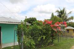 Belize-Home-with-Fruit-Orchard-SI12