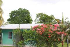 Belize-Home-with-Fruit-Orchard-SI13