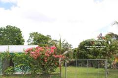 Belize-Home-with-Fruit-Orchard-SI14