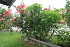 Belize-Home-with-Fruit-Orchard-SI6