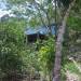 Belize-Sweet-Tree-Top-Home-Santa-Elena18