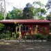 Belize-2-bedroom-farm-house-on-9-acres6