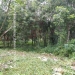 Belize-Jungle-Lots-Bullet-Tree-Village2