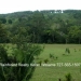 Belize-Jungle-Lots-Bullet-Tree-Village6