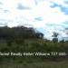 Belize-Dream-Farm-with-lots-of-Potential3