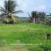 Belize-Mountain-View-Lot-San-Ignacio5