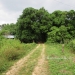 Five Acres western Belize with Home9