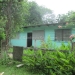 Home with 2 lots bullet tree Belize 18