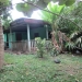 Home with 2 lots bullet tree Belize 2