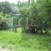Home with 2 lots bullet tree Belize 23