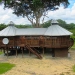 Belize Tree House for Sale Bullet Tree Village 60