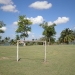 Belize Lagoon Front Shangri-la Property for Sale 132