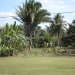 Belize Lagoon Front Shangri-la Property for Sale 131