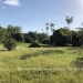 Belize-50-Acres-with-Three-Homes-59