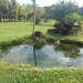 Belize-50-Acres-with-Three-Homes-72