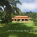 Belize-50-Acres-with-Three-Homes-73