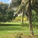 Belize-50-Acres-with-Three-Homes-75