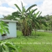 Belize 2 Bedroom home san Ignacio4